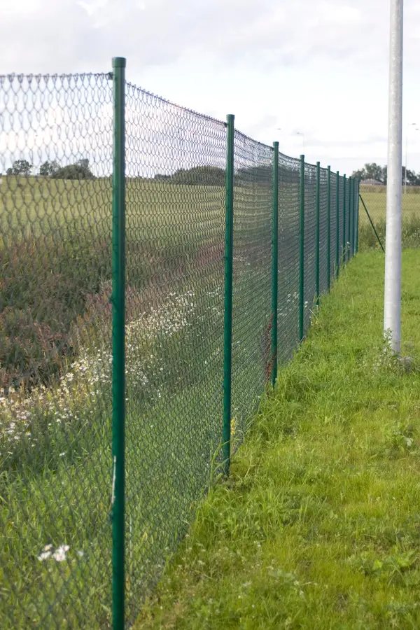 Võrkaiad – Privilo